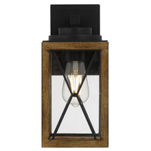 Eirlys Outdoor Wall Light